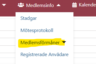 Skärmbild 2025 02 06 080911